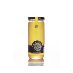 عسل گز انگبین ارگانیک هاکان 400 گرم